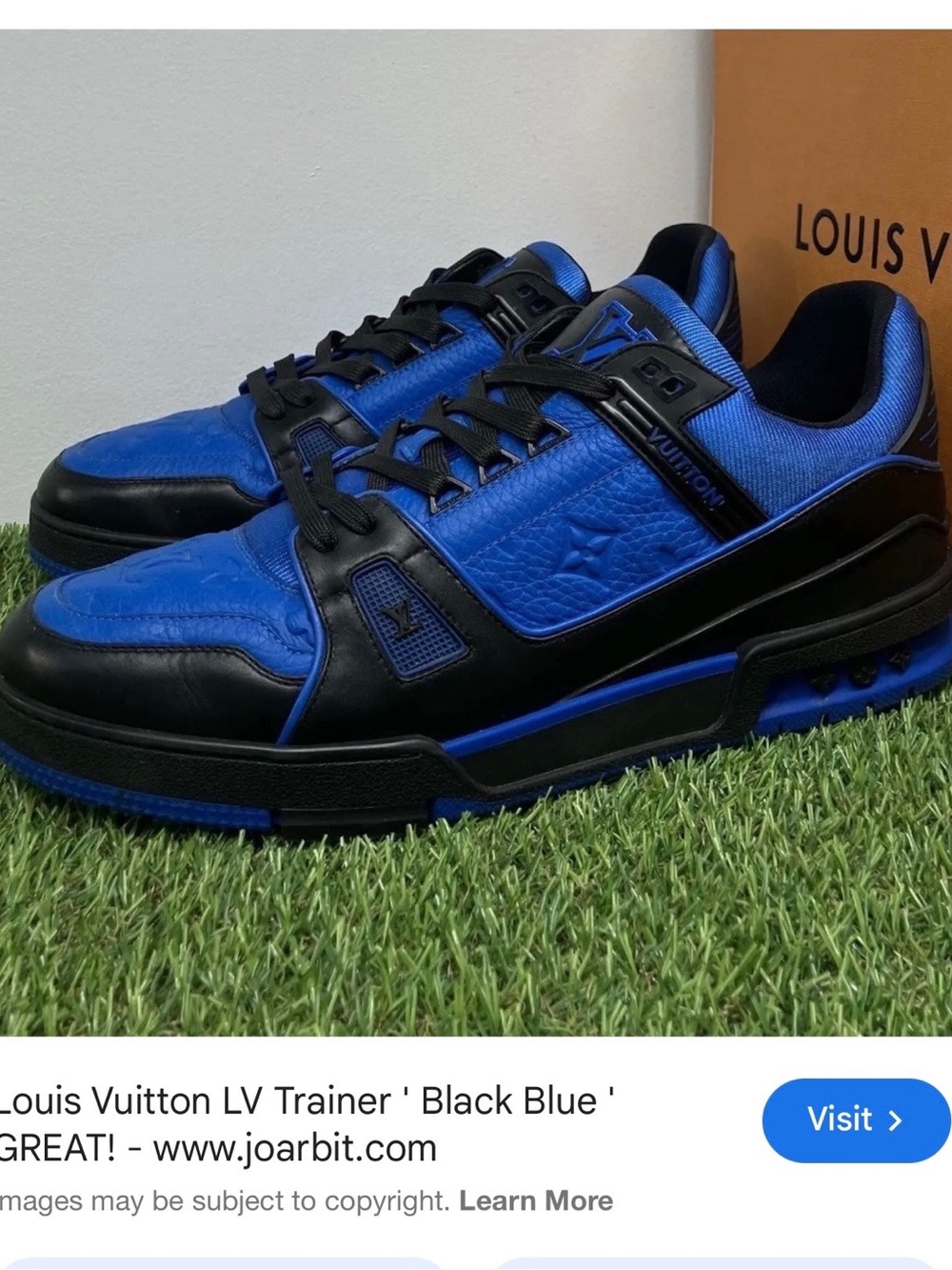 Louis Vuitton Men’s Royal Blue and Black Low-Top Sneaker